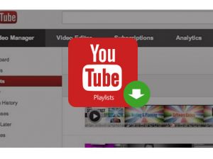 Download YouTube Playlists & Channel with Free YouTube Downloader
